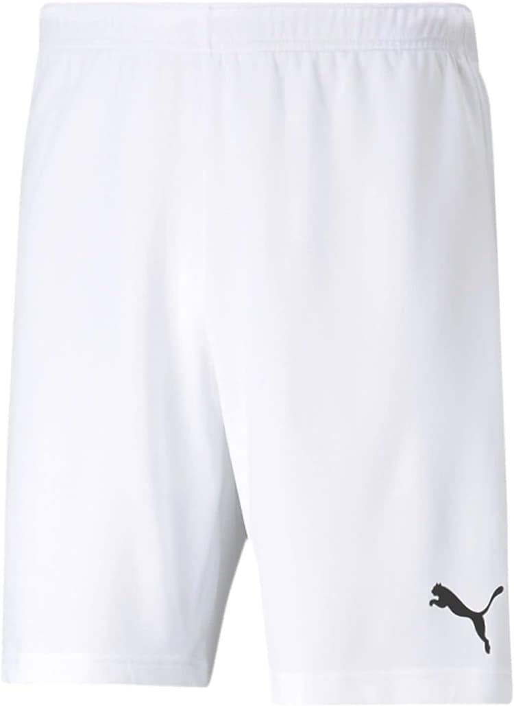 Puma Liga Shorts Core with Brief Slip-Homme-Pourpre